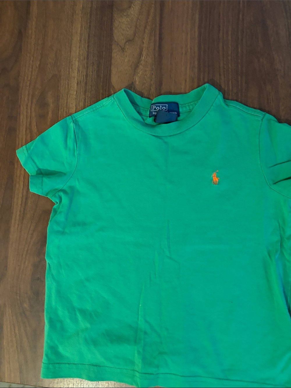Boys Polo by Ralph Lauren Short-Sleeve Crew Tee in Green with Orange Pony -